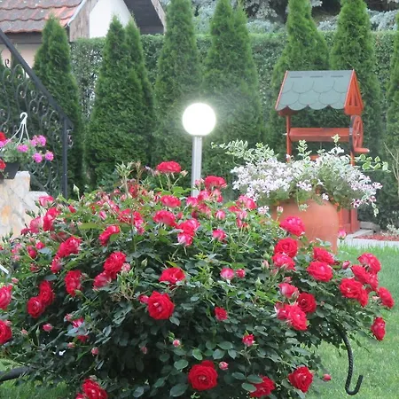 Boska Palic