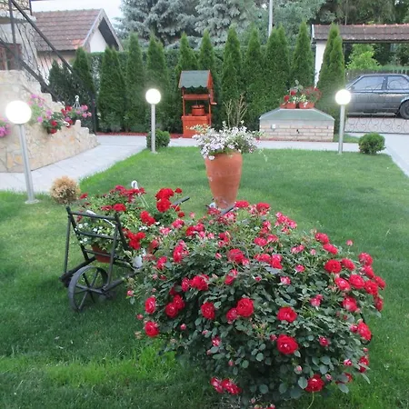 Bed & Breakfast Boska 4*