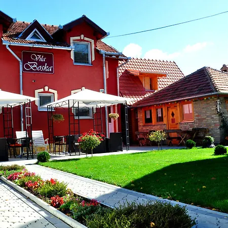 Bed & Breakfast Boska 4*